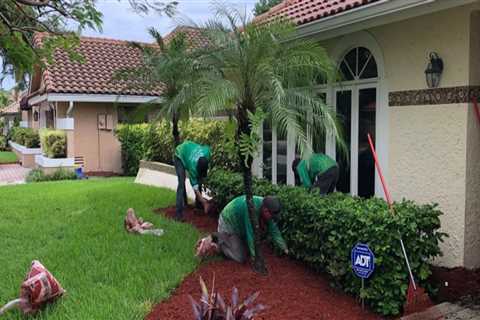 The Importance Of Regular Lawn Maintenance And Mulching Services In Ellisville, MS