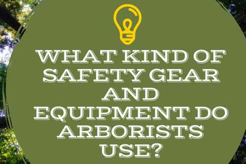 What Kind of Safety Gear and Equipment Do Arborists Use?