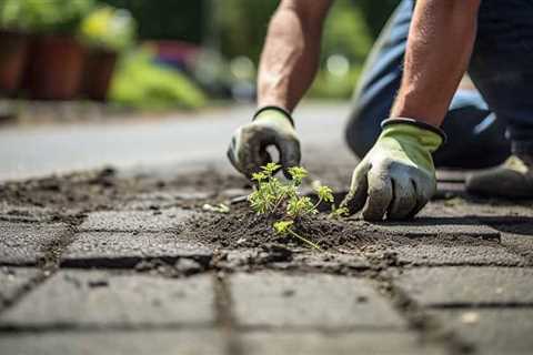 How Do You Get Rid of Weeds in Tarmac?