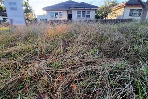 The Neighbours Said BEWARE Of Mowing This Abandoned Property That Was TRASHED By Local GANG Members