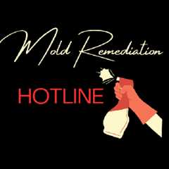 Mold Remediation Hotline Garland TX | 40Billion