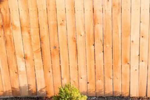 Fencing Services Langley