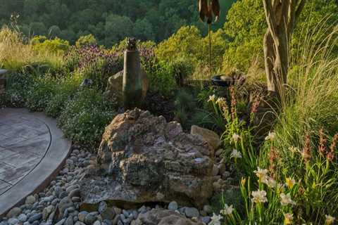 The Best Time of Year for San Ramon Tree Care