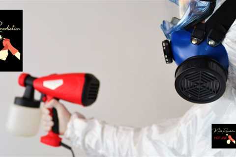 Mold Remediation Hotline Roswell GA