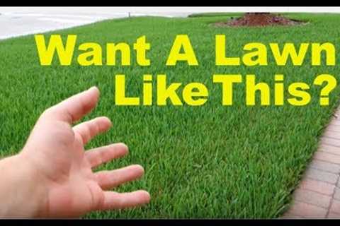 How To Fix An Ugly Lawn | Lawn Care Tips For Beginners