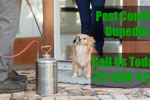 Dunedin Bed Bug Treatment Inspection And Extermination