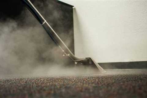 Can You Walk on Carpet After Steam Cleaning?