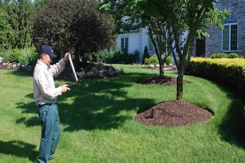 Why You Should Hire A Tree Care Service For  Tree Care And Landscape Tree Planting In Pembroke Pines