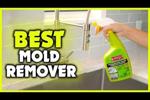 The Best Mould Remover