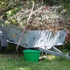 Local Waste Removal Winterbourne