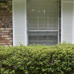 The Importance of Professional Installation for Blinds and Shutters