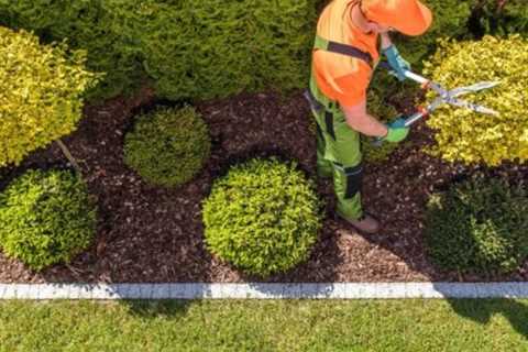 Maintaining and Repairing Concrete Driveways