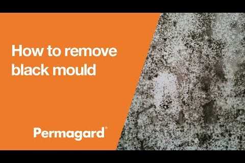 How to Get Rid of Black Mold on Walls