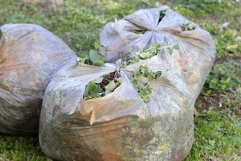 Local Waste Removal Severn Beach