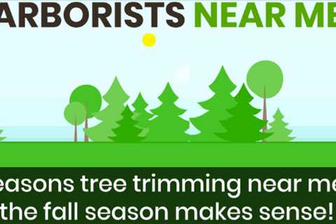 6 Reasons tree trimming near me in the fall season makes sense!