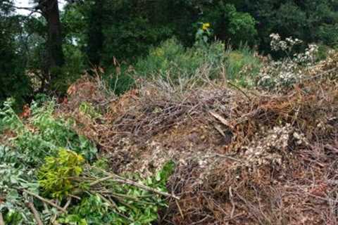 Local Waste Removal Victoria Park