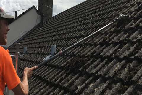 Roof Cleaning Tong