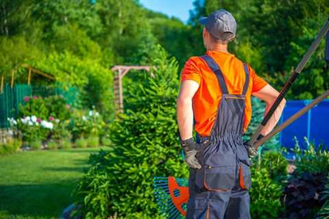 Benefits of Hiring a Landscaper NZ