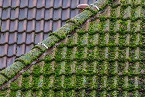 Roof Cleaning Vicarage