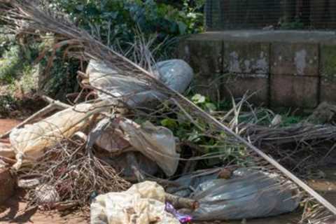 Local Waste Removal Tickenham