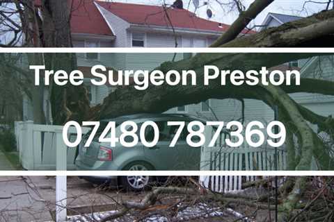 Tree Surgeon Eccleshill