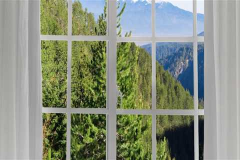 The Castle Rock Difference: Choosing The Right Window Cleaning Service For Your Home's Window..