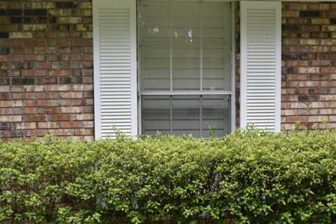 The Importance of Professional Installation for Blinds and Shutters