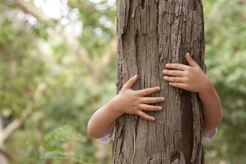 Tree Health and Maintenance