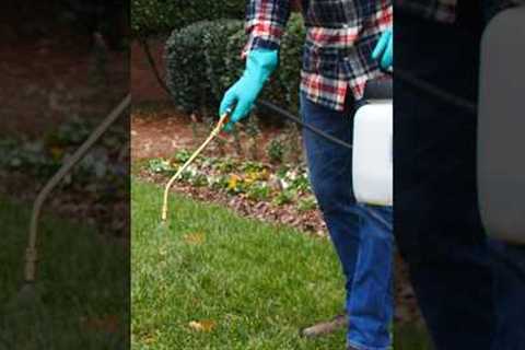 DIY Lawn Care for Beginners - Equipment to Get Started! | DoMyOwn.com