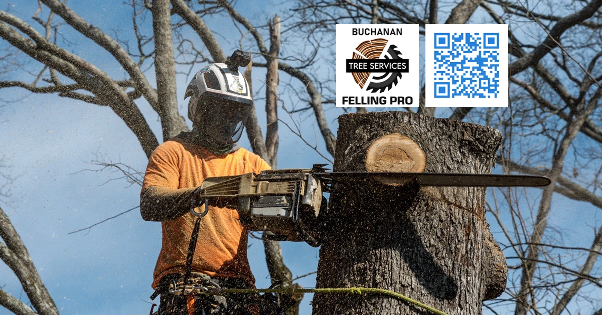 Raven Tree Service - Buchanan Felling Pro