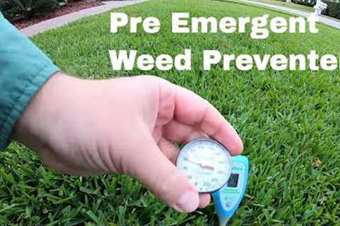 When To Apply Prodiamine Pre-Emergent Weed Preventer Herbicide + Lawn Care Tips