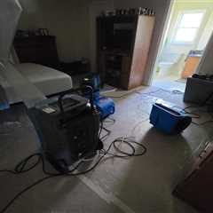 Standard post published to CSL Water Damage Restoration at February 25, 2024 16:00