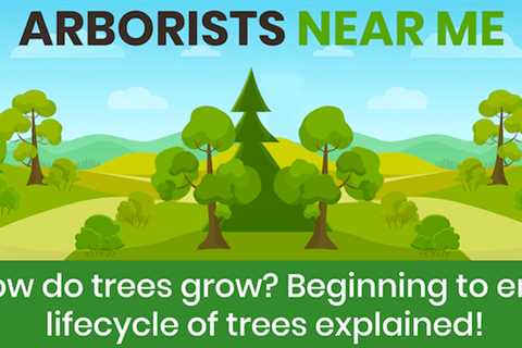 How do trees grow? Beginning to end lifecycle of trees explained!