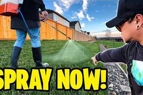 Spray Now Play Later! Pre Spring liquid fertilizer ~ End of winter lawn care plan & essentials