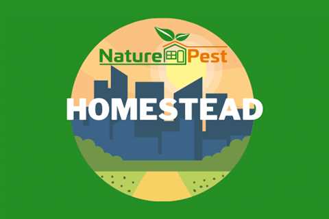 Pest Control Homestead | NaturePest Holistic Local Pest Control