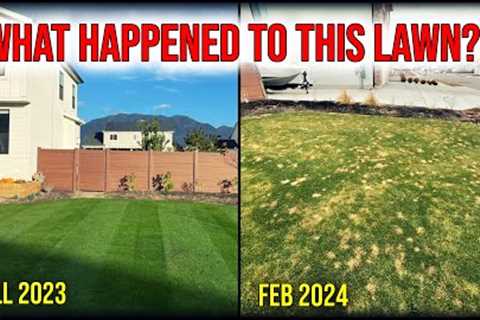 Lawn DESTROYED By Winter...What Happened??