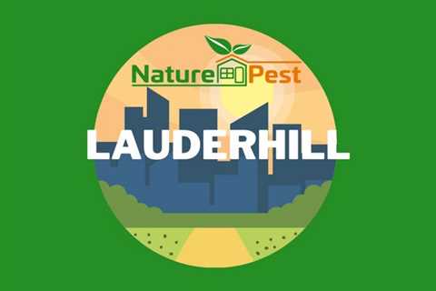 Pest Control Lauderhill | NaturePest Holistic Local Pest Control