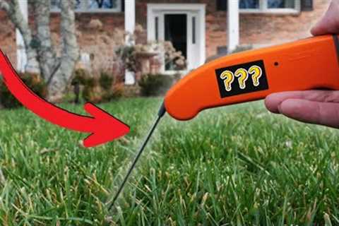 If you don''t change this, your lawn will never change.