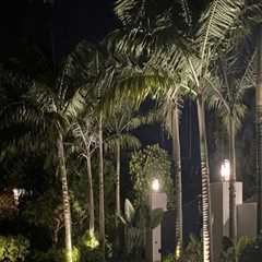 Landscape Lighting And Electrician Services: A Perfect Pairing In Port St. Lucie