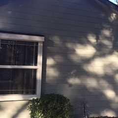 Standard post published to Absolute Painting and Power Washing at March 13, 2024 20:00