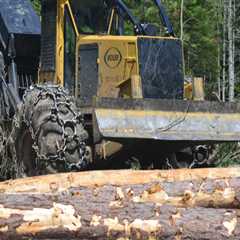 The Essential Guide to Delimbers in Forestry