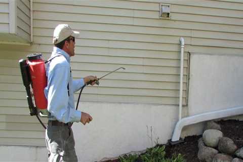 Should pest control spray inside or outside?