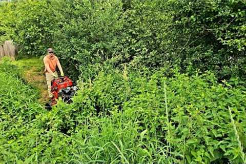 This Job Required A BULLDOZER But I SHOWED UP With My MOWER INSTEAD