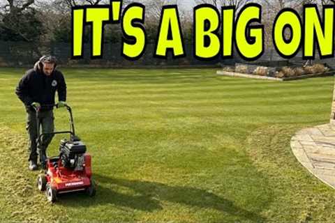 Here''s A LAWN Job You Can Do EARLY, But NO SEEDING!