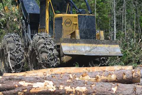 The Essential Guide to Delimbers in Forestry