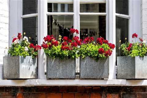 Maximize Your Investment: How Professional Window Cleaning Can Prolong The Lifespan Of Your..