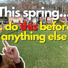 DO THIS FIRST: Early Spring Lawn Care