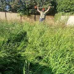 I Was TERRIFIED Mowing This OVERGROWN Jungle In The HOOD! | The WORST Lawn Ive Mowed In YEARS!
