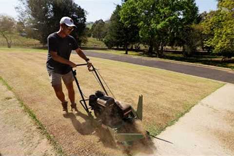 Full Lawn Renovation From START To FINISH // Scalp, Dethach, Aeration and Topdress