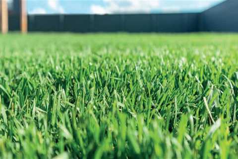 Green Dreams: Why Investing In Professional Turf In Southampton Trumps Grass Seeds